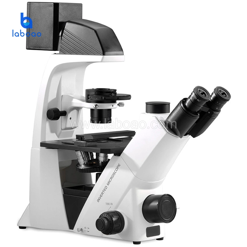 Biological Inverted Microscope for Life Science Research